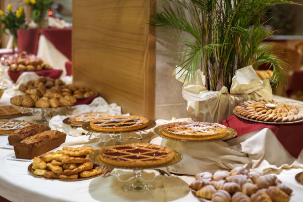 Club Hotel Regina e Fassa (Mazzin)